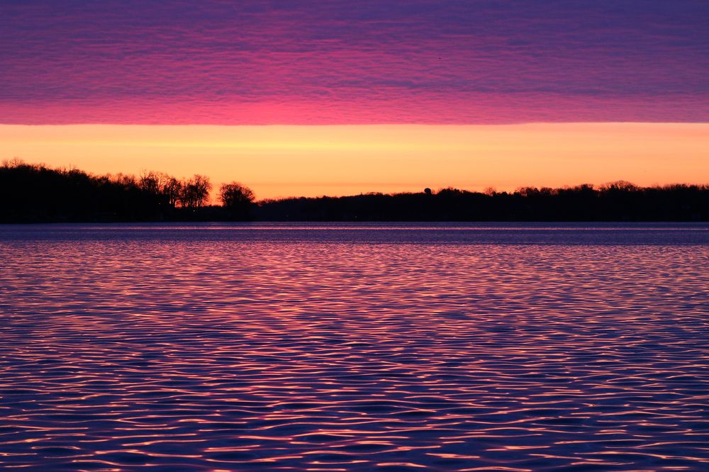 Photograph by Rosalie Millen