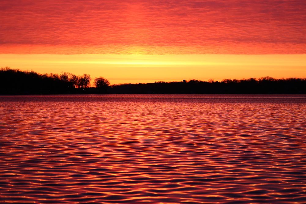 Photograph by Rosalie Millen