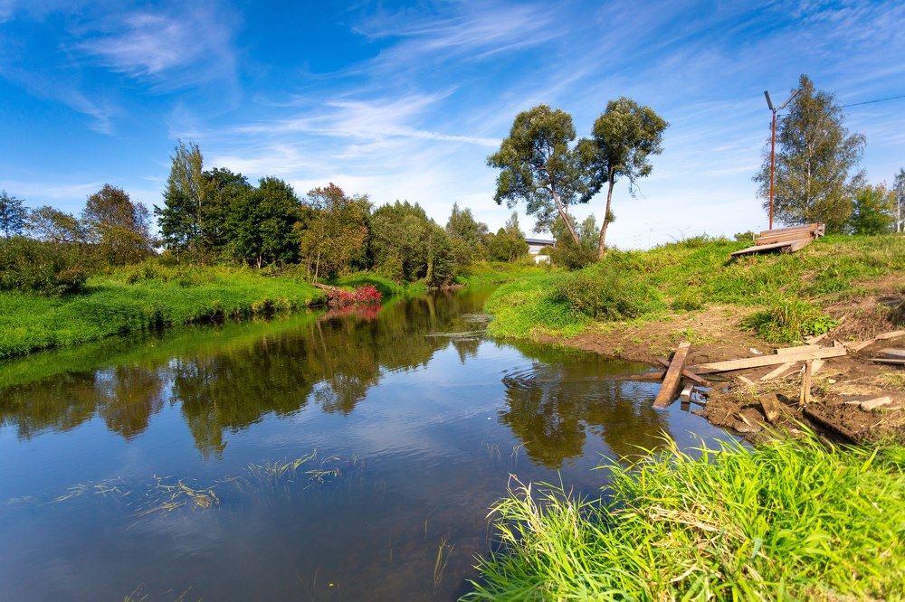 Фотография автора Виталий Зейфер