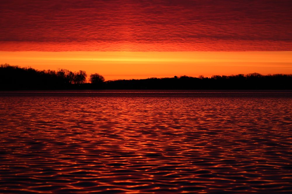 Photograph by Rosalie Millen