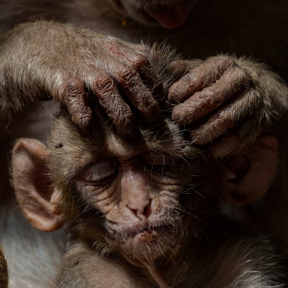 Photograph by Amit Jariwala