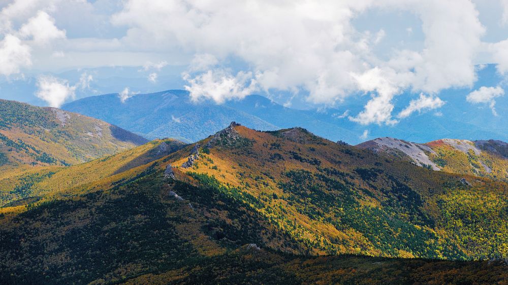 Хребет ,,Зубы Дракона''. Приморский край.