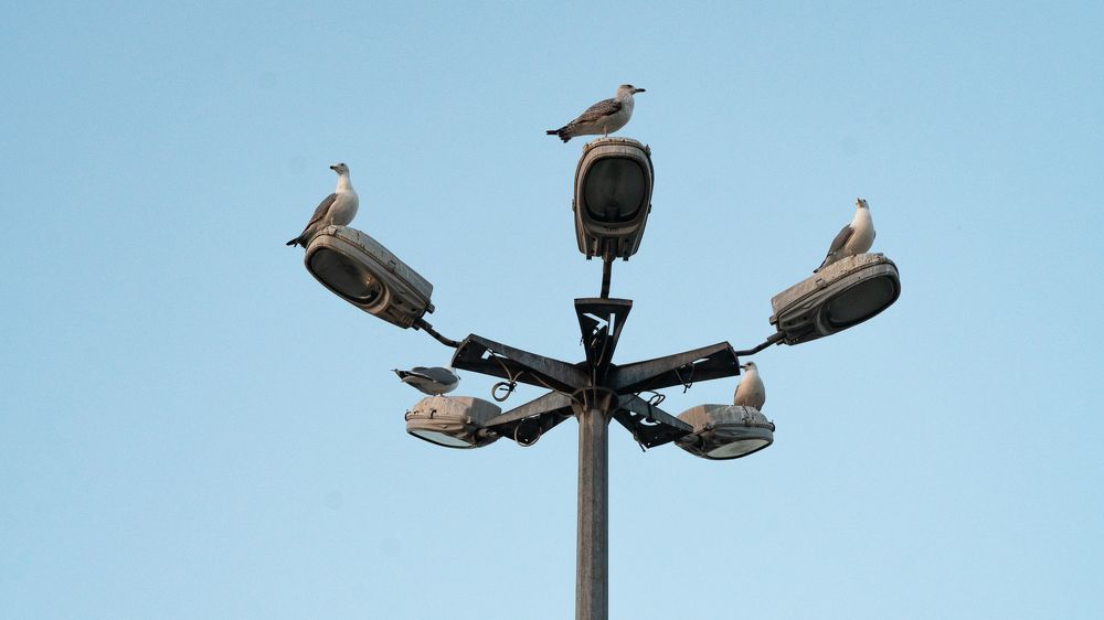 Photograph by Екатерина Акимова