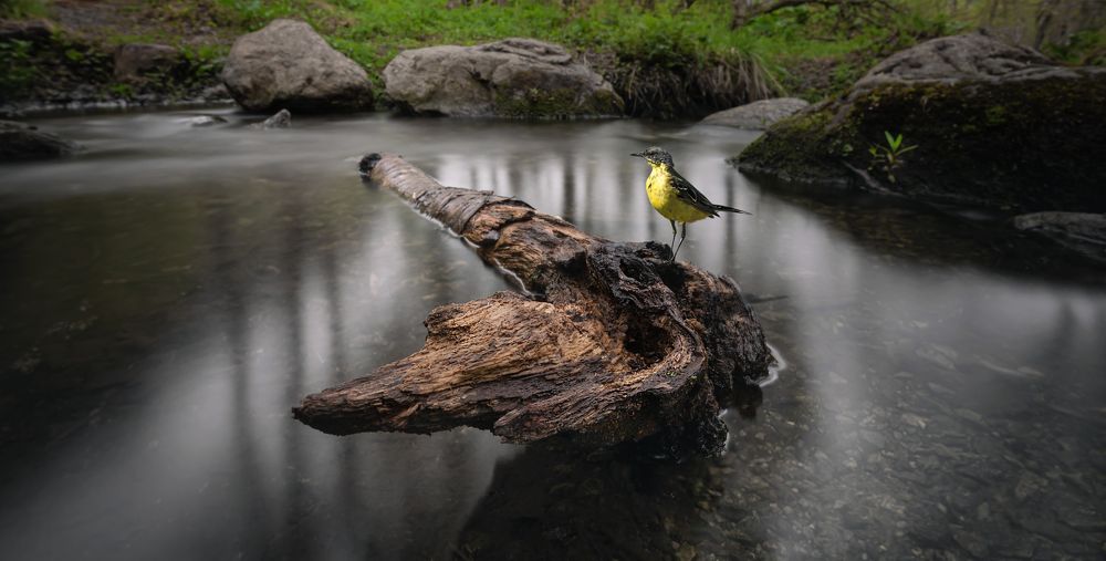 Photograph by Aurelijus Norvaisas