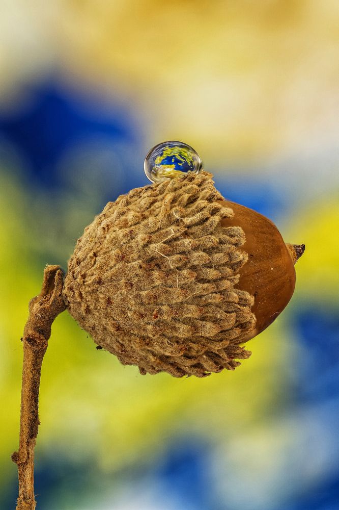 NATURE SUPPORTS EARTH