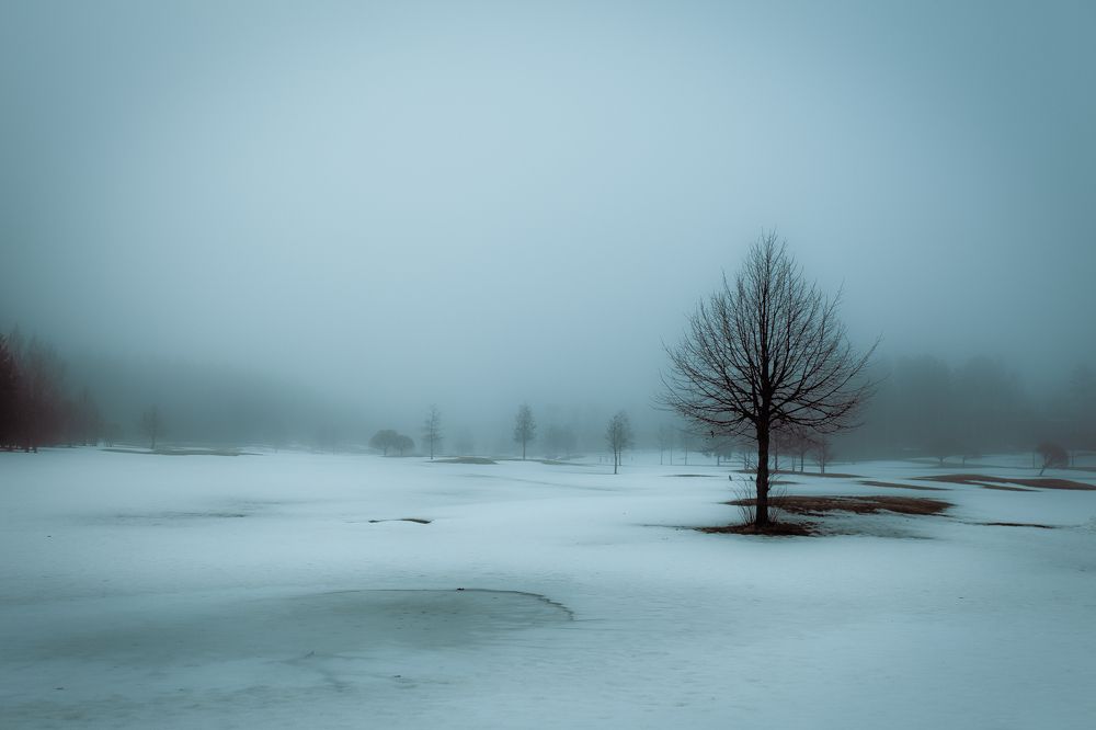 Photograph by Tero Moilanen