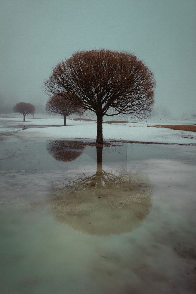 Photograph by Tero Moilanen