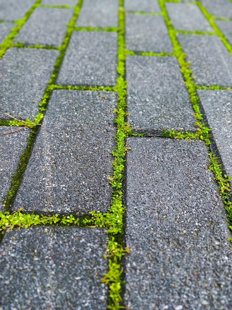 Green details