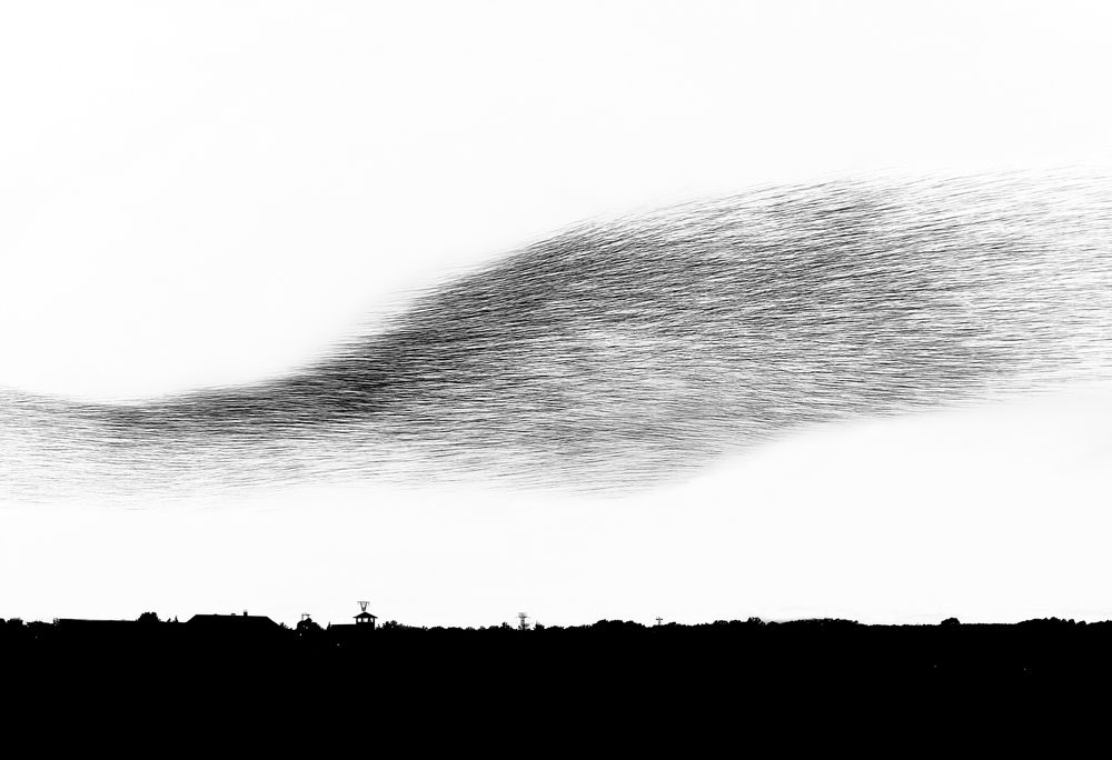 Photograph by Víctor Rodilla