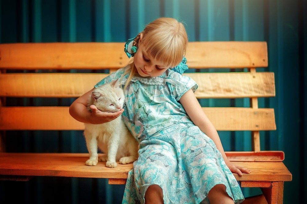 Photograph by Алёна Дуклер