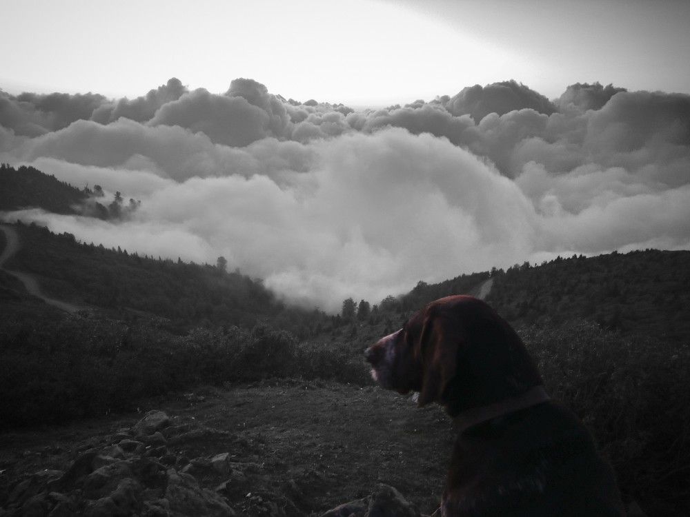 Photograph by Giorgi Shubitidze