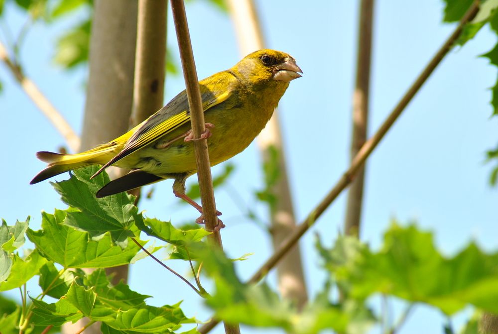 Photograph by Ciornei Simona Maria