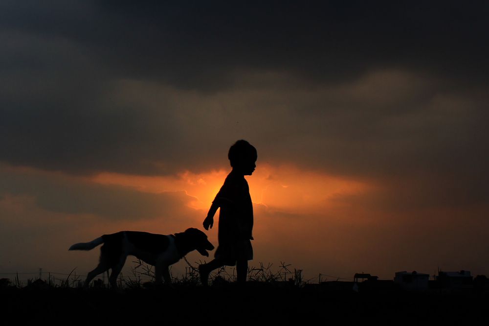 Photograph by Baraya Rocky