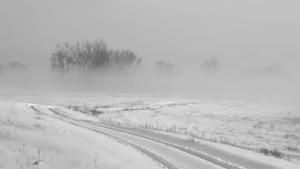 Утренний туман