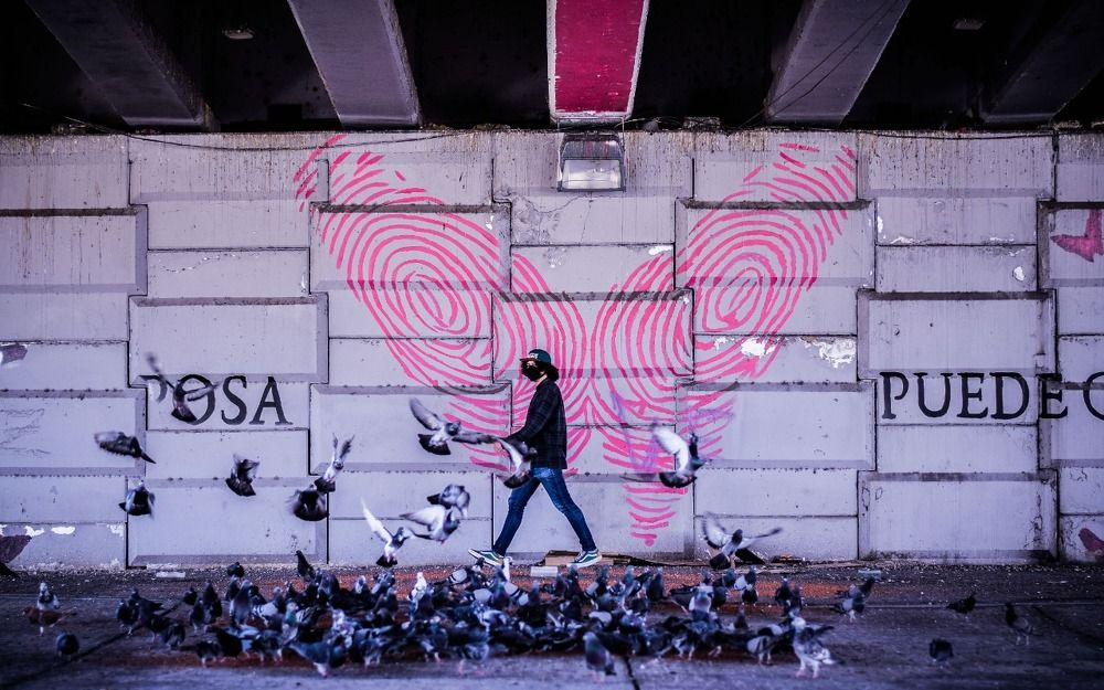 Photograph by Alejandro gomez vizcarra