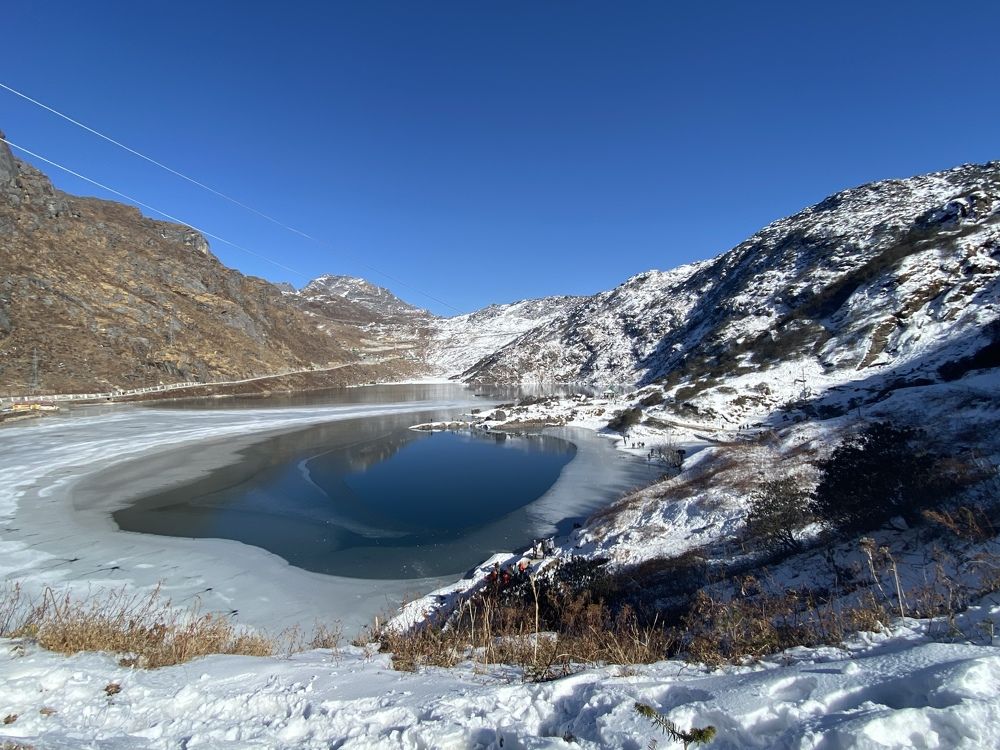 Photograph by DR VICTOR MOKTAN