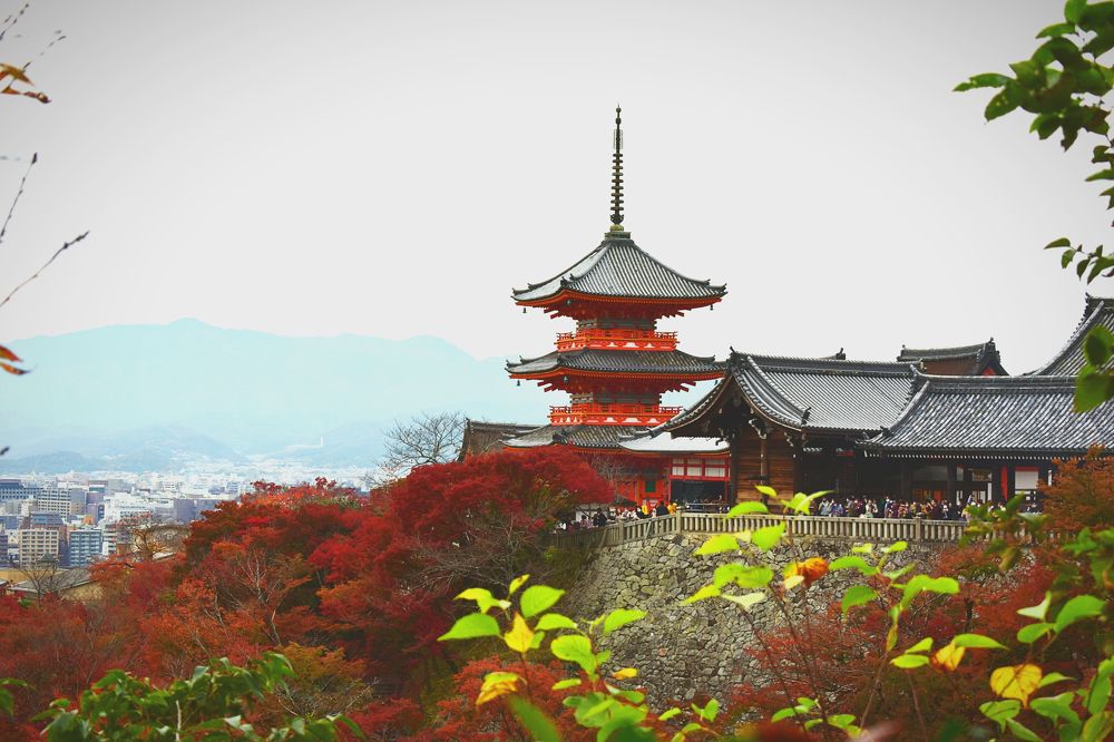 Фотография автора Sen Abhijit