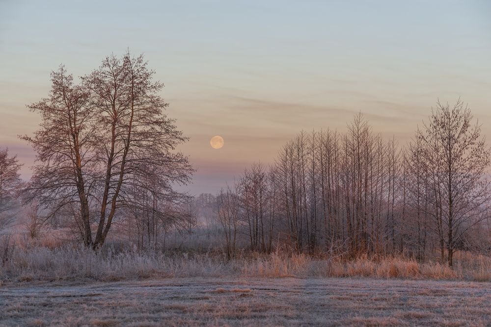 Photograph by Дмитрий Новоселов