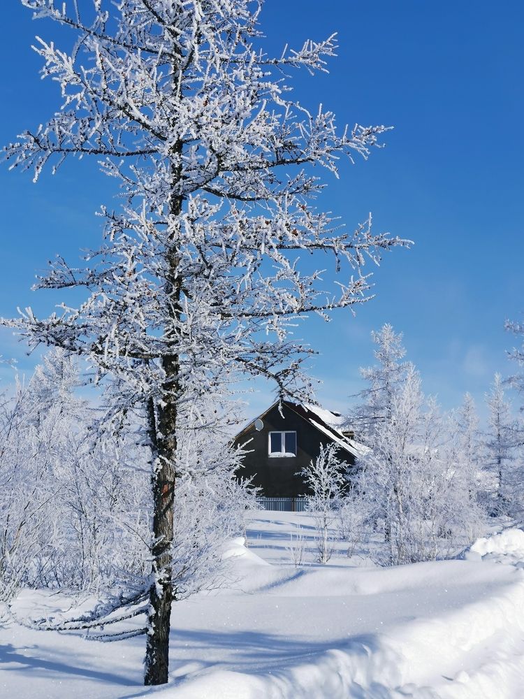 Photograph by Юлия Арестова