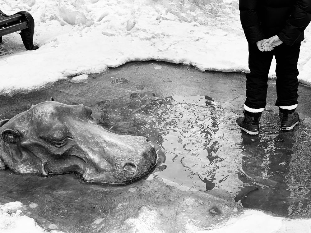 Задумчивость