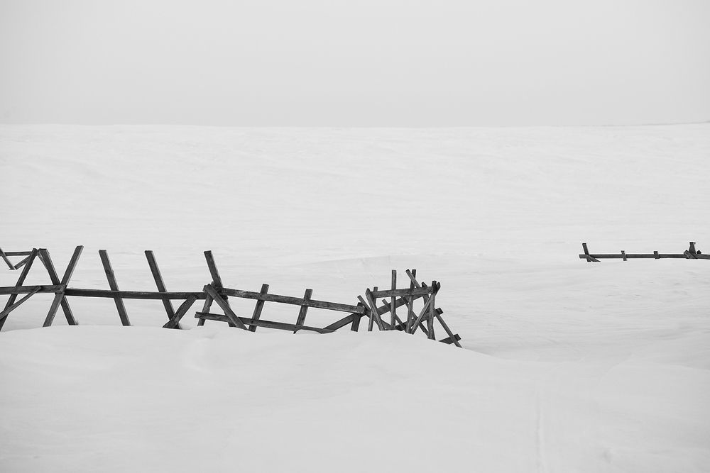 Photograph by Владислав Никишин