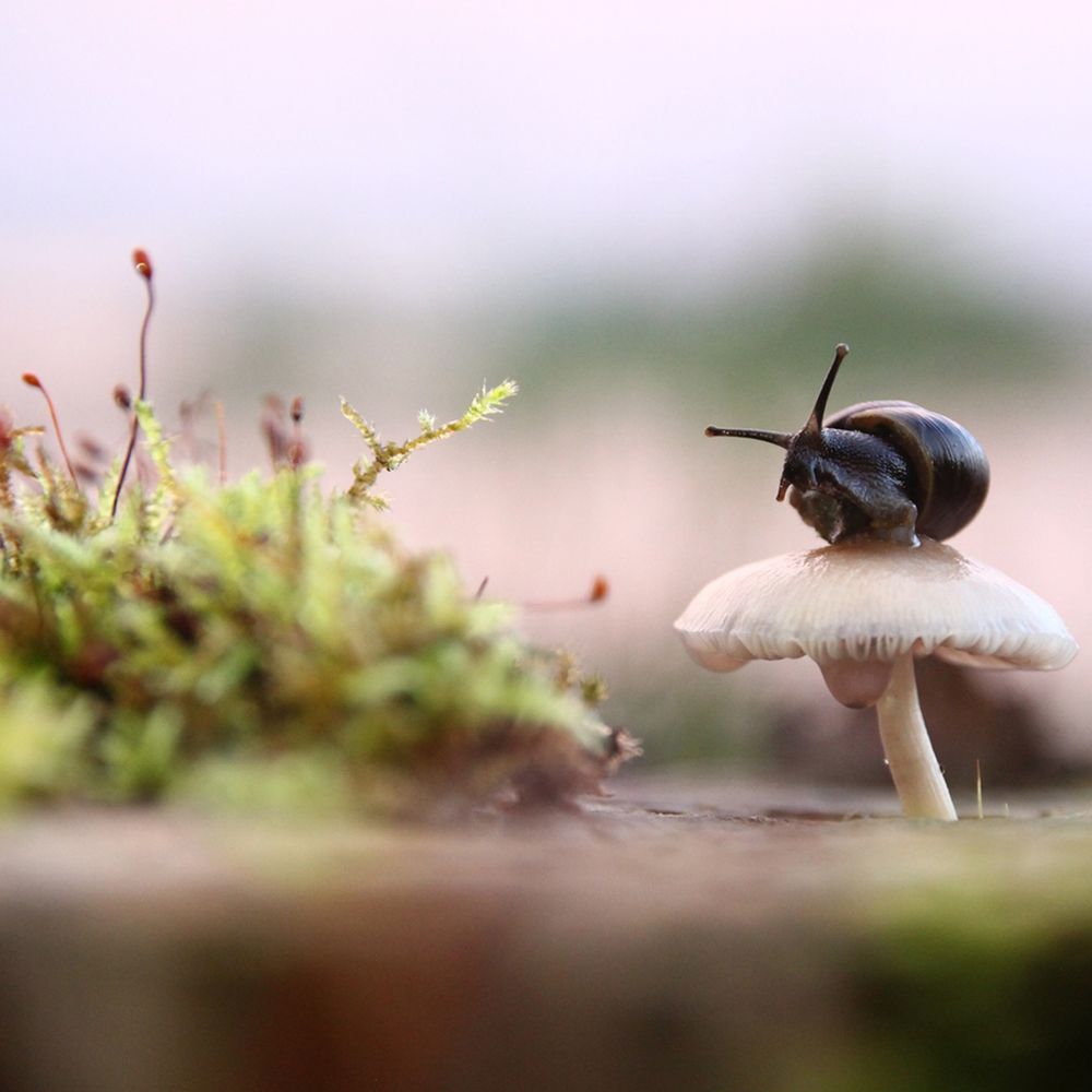 Photograph by Любовь Козлова