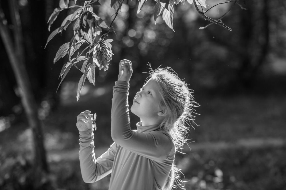 Photograph by Наталья Кутасова