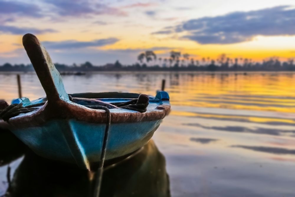 Фотография автора Adel elqamhawi Mohamed