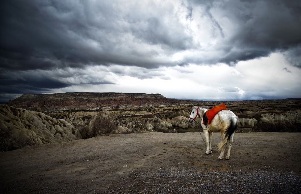 Photograph by Наталья Пирогова