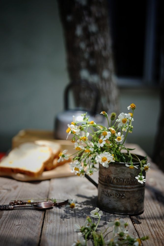 Photograph by Chee wooi Yap