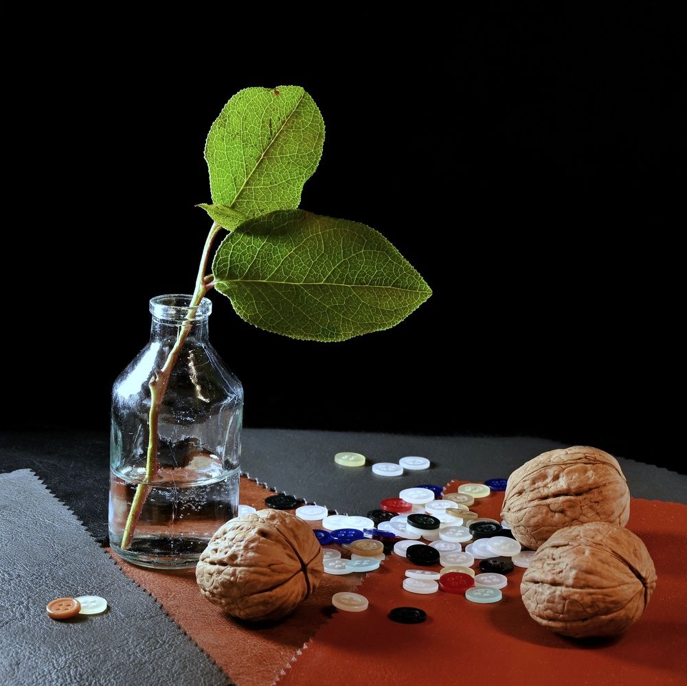 Photograph by Евгения Лушенкова