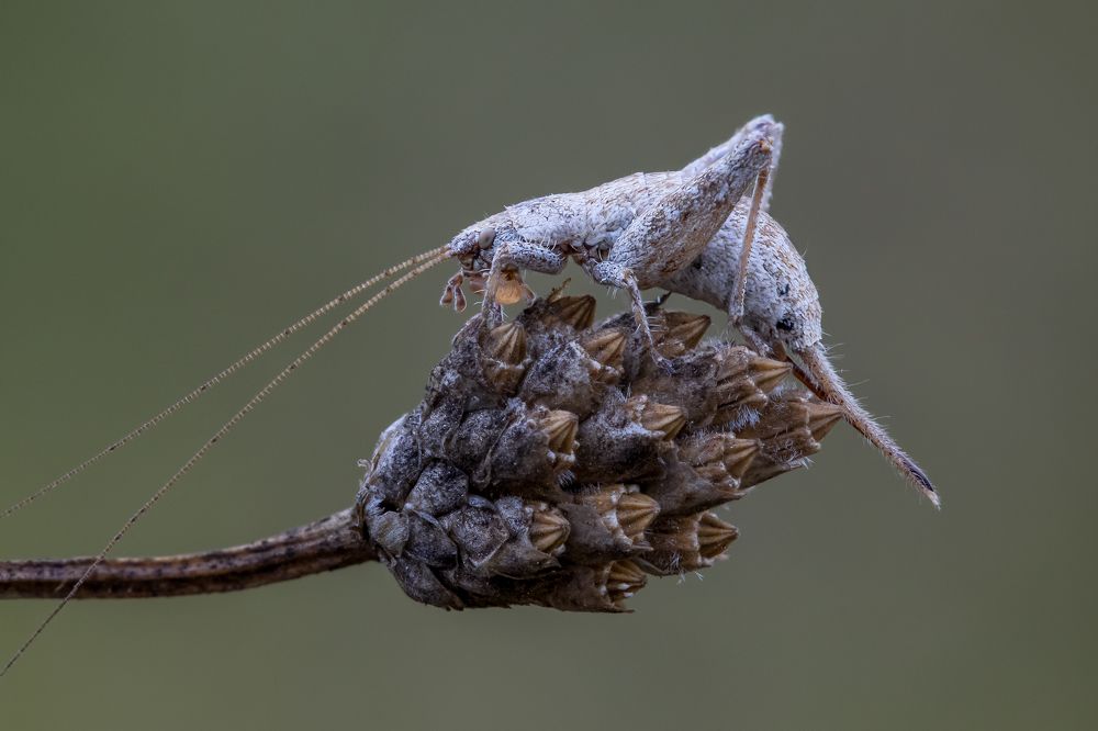 Photograph by Andrey Ostapenko