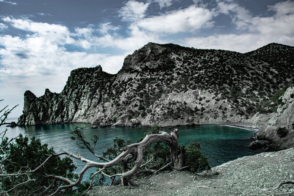 Волшебный край.