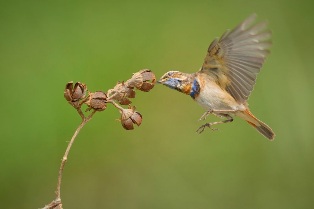 Фотография автора Maurice Leung