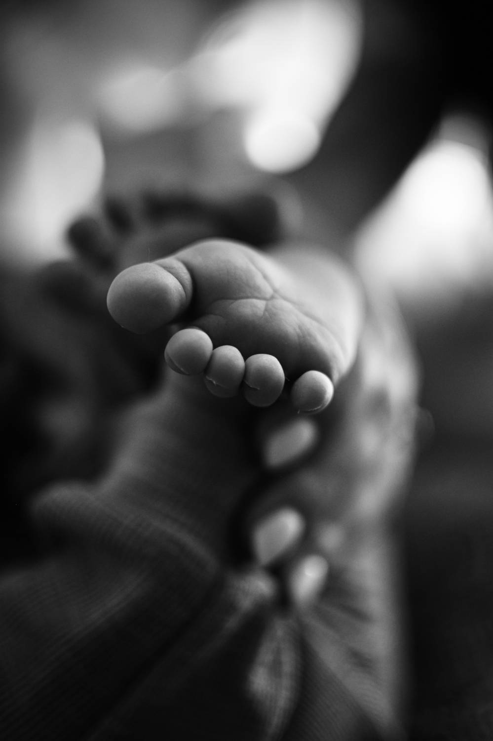 Photo #5996948
