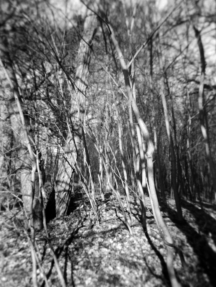 Park spring