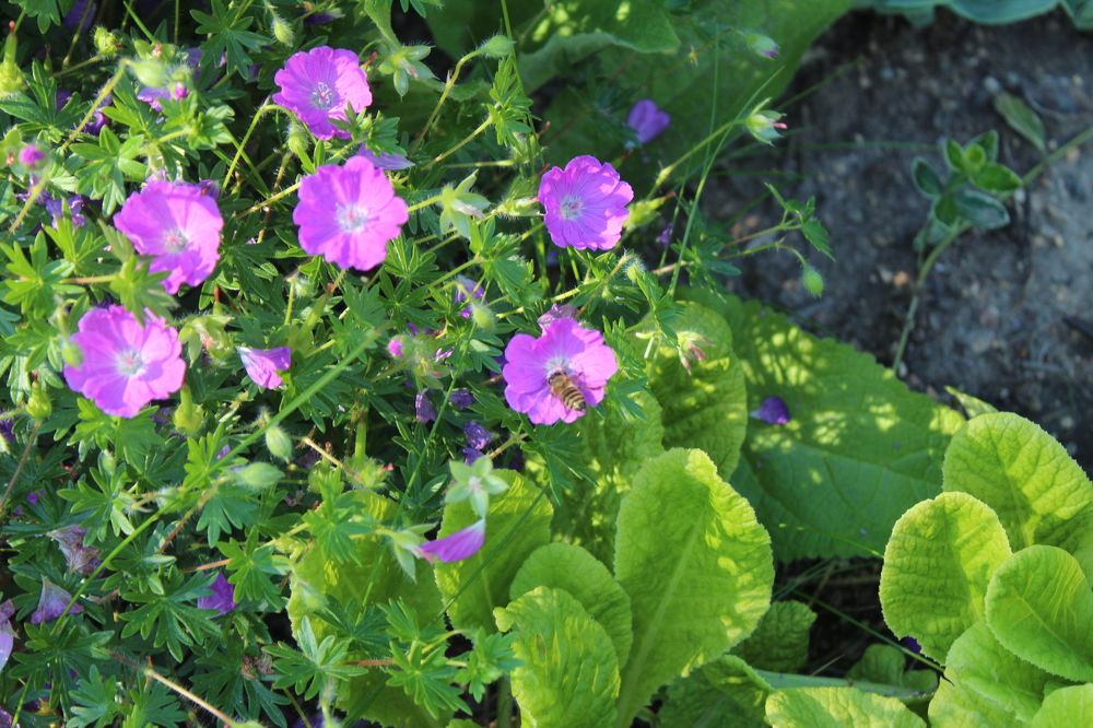 Photograph by Ярослав Шадрин