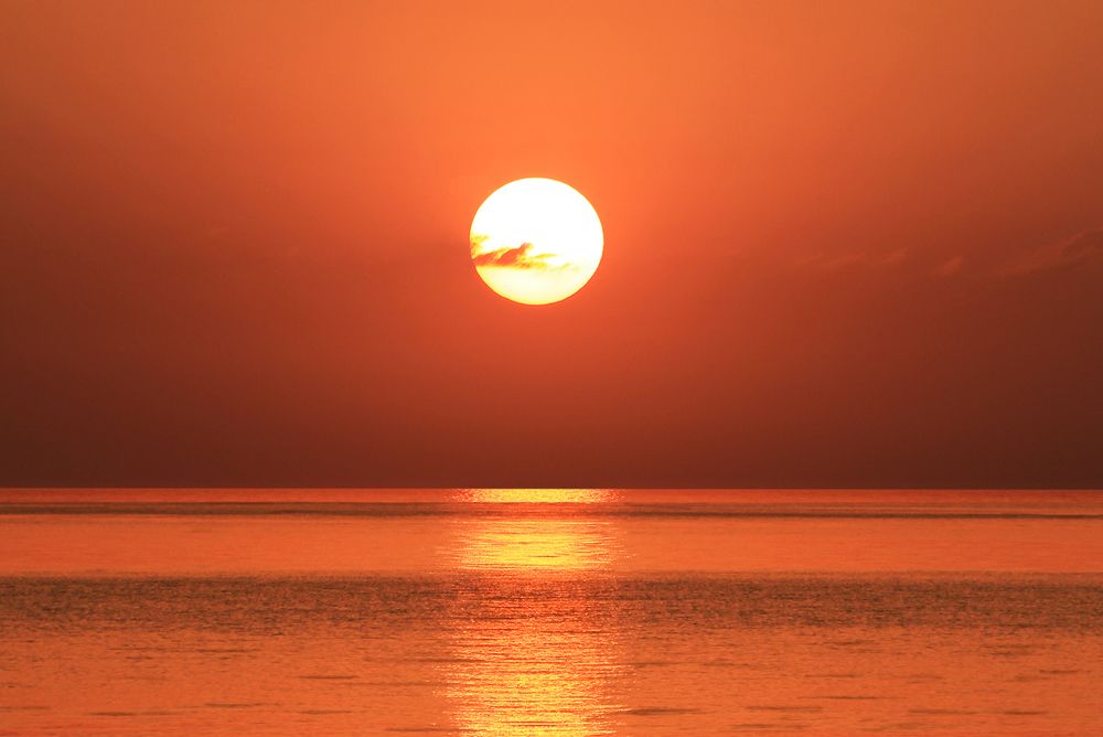 Morning Dawn