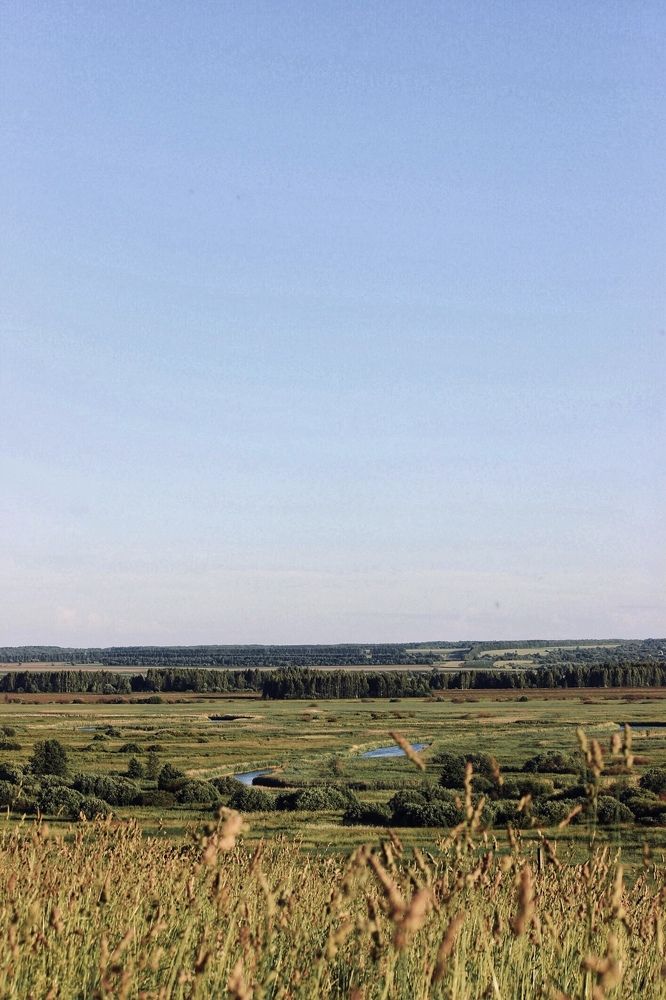 Photograph by Юлия Тигра