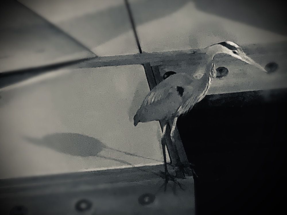 Фотография автора Anastasia Love