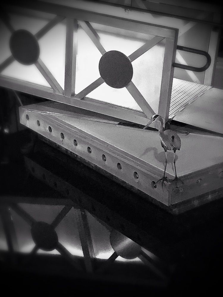 Фотография автора Anastasia Love