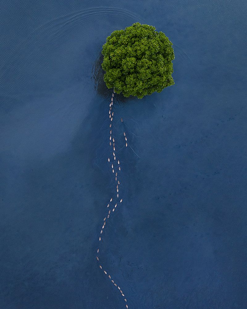 Photograph by Jidhun M G