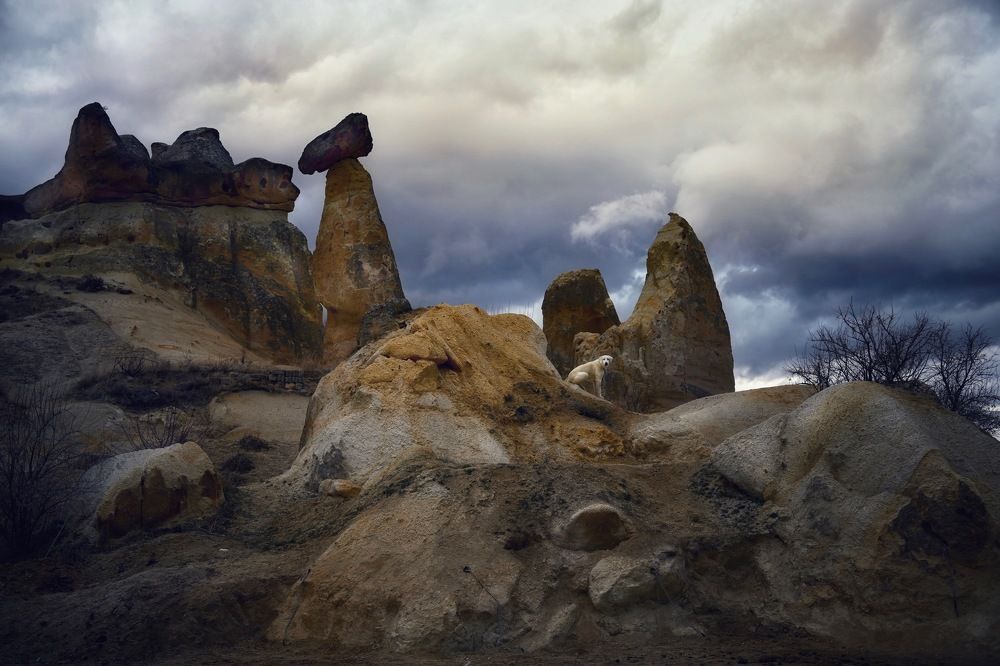 Темные скалы