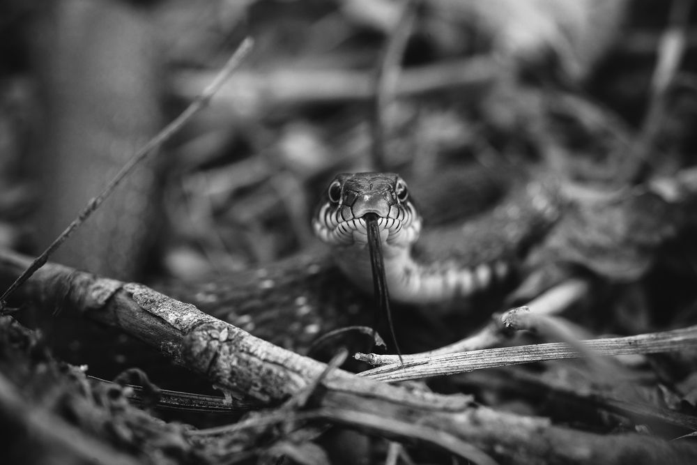 Photograph by Владислав Грибов