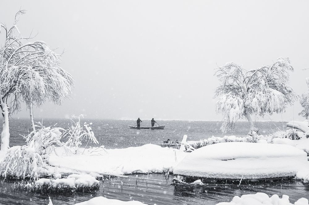 Photograph by shahoo moradi