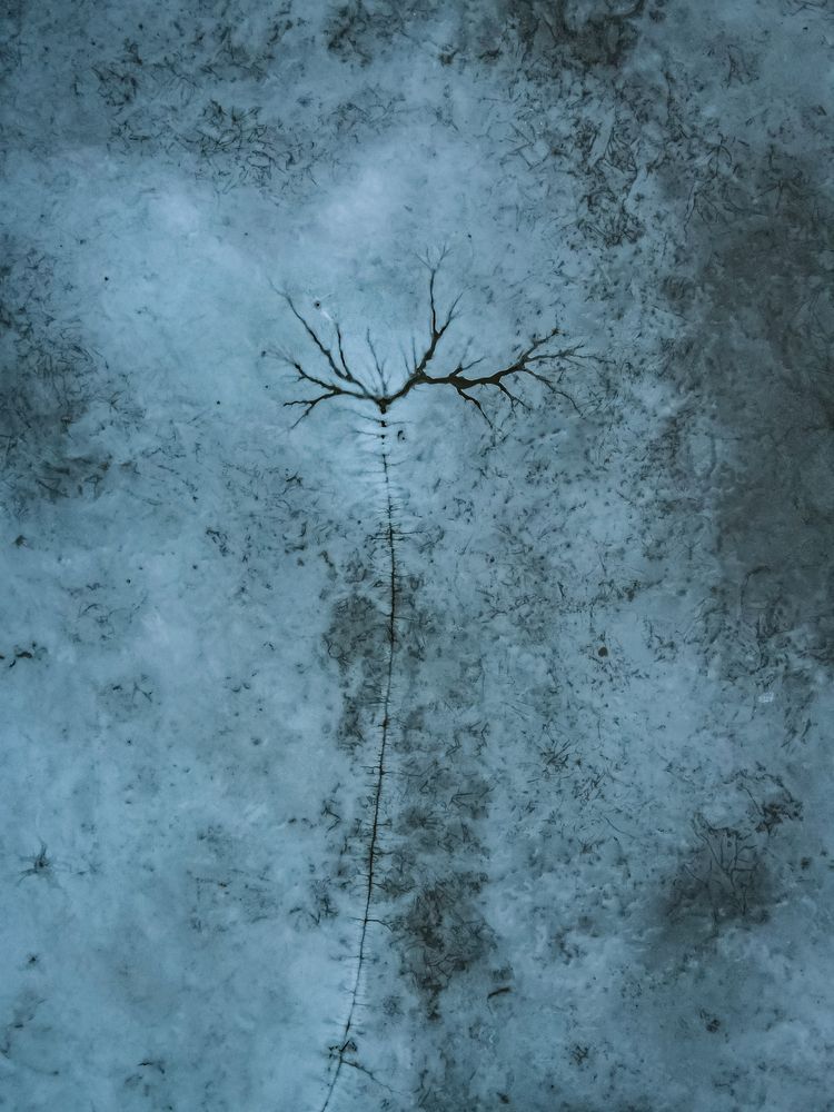 Photograph by Pawel Mazur