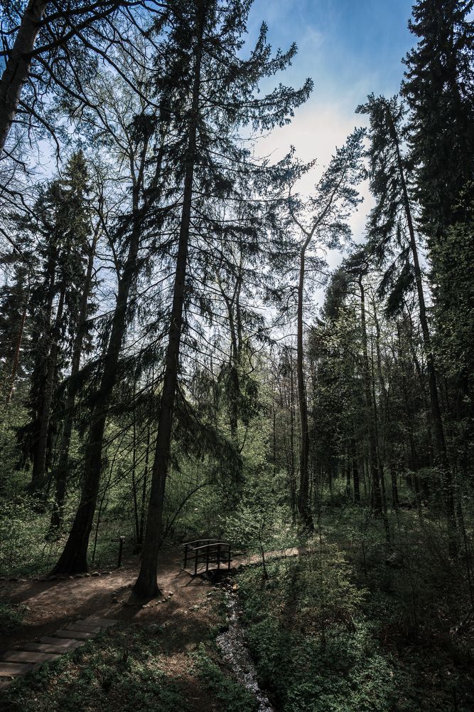 Photograph by Илькин Салимов