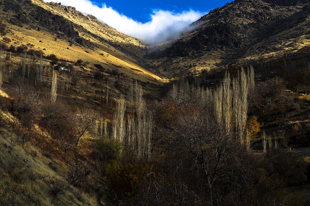 Photograph by shahoo moradi