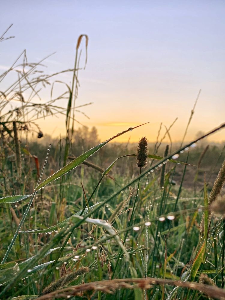 Photograph by Анна Ремизова