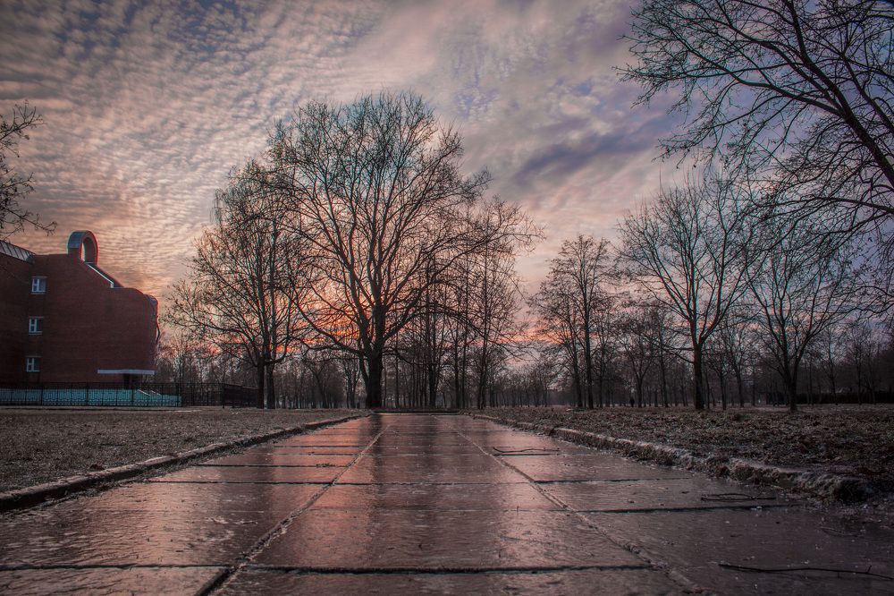 Скользкий Закат